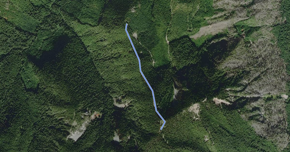 Маршрут Clearwater Peak Trail на спутниковом снимке