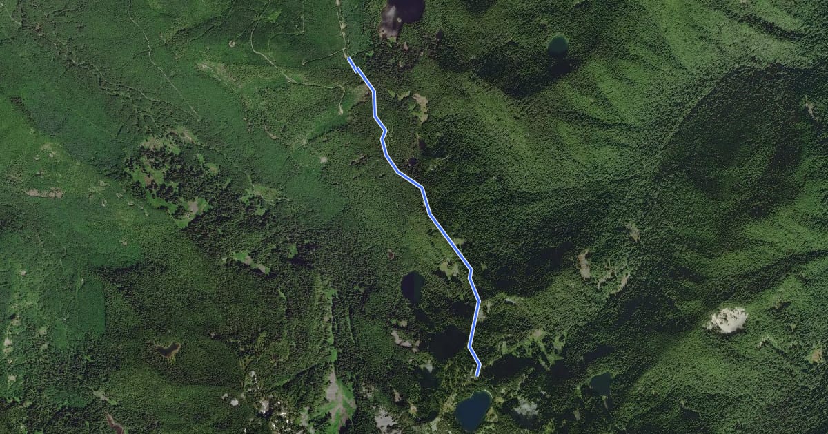Маршрут Clearwater to Summit Lake Trail на спутниковом снимке