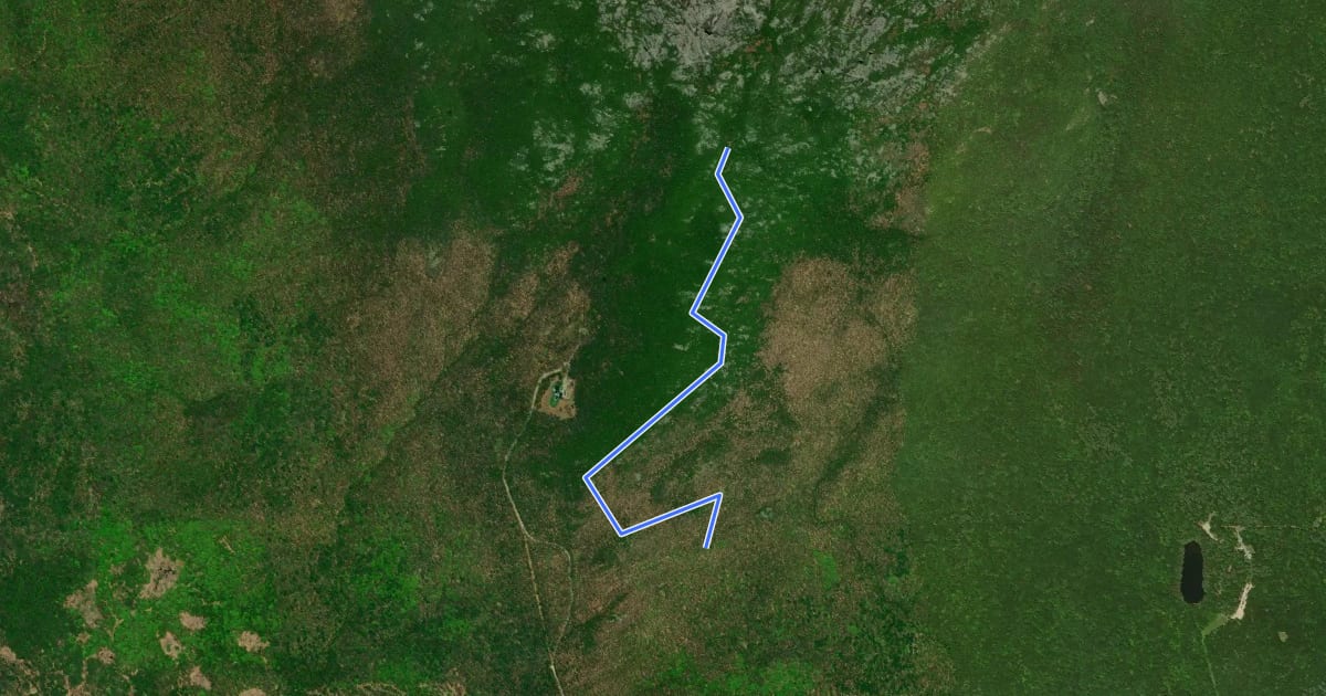 Маршрут Cliff Walk на спутниковом снимке