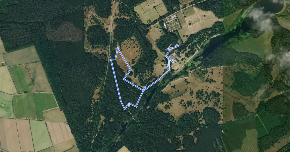 Маршрут Clumber Walk for All Seasons, Clumber Park на спутниковом снимке