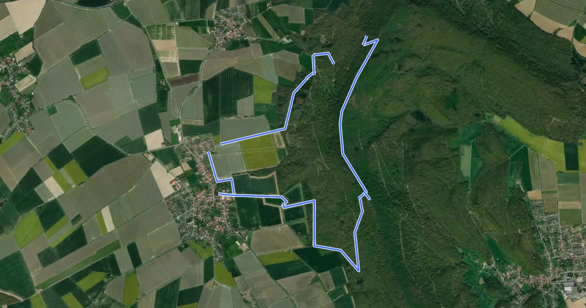 Маршрут CO3 Schlossweg на спутниковом снимке