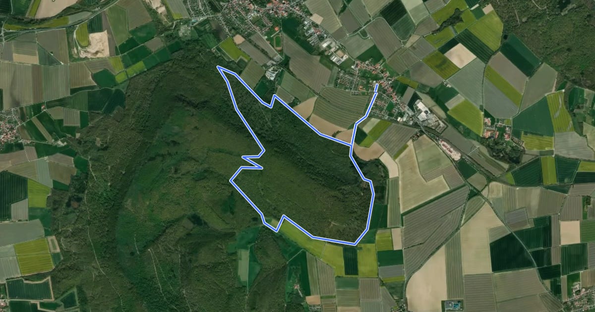 Маршрут CO4 Pilgerweg на спутниковом снимке