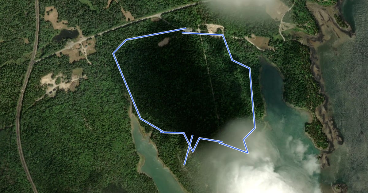 Маршрут Cobscook Bay Nature Trail Loop на спутниковом снимке