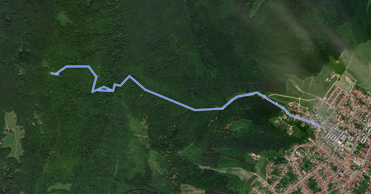 Маршрут Codlea - Piatra Albă - Vf. Măgura Codlei на спутниковом снимке