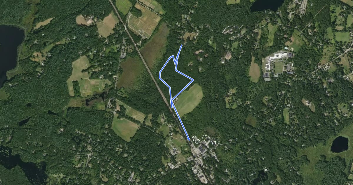Маршрут Codman Forest Loop на спутниковом снимке