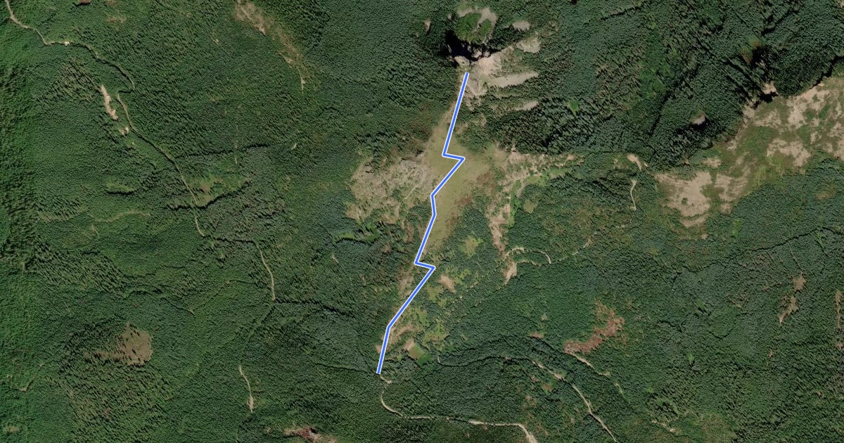 Маршрут Coffin Mountain Trail на спутниковом снимке