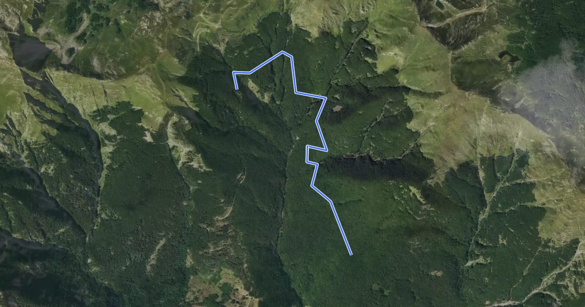 Маршрут Col della Prada - Rifugio Casentini на спутниковом снимке