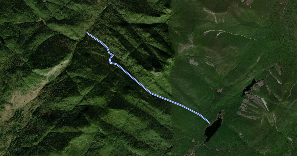Маршрут Cold Brook Pass Trail на спутниковом снимке