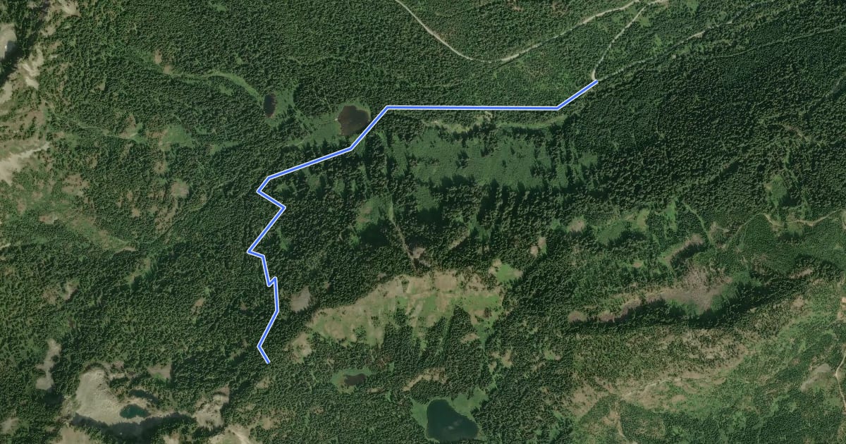 Маршрут Cold Creek Trail на спутниковом снимке