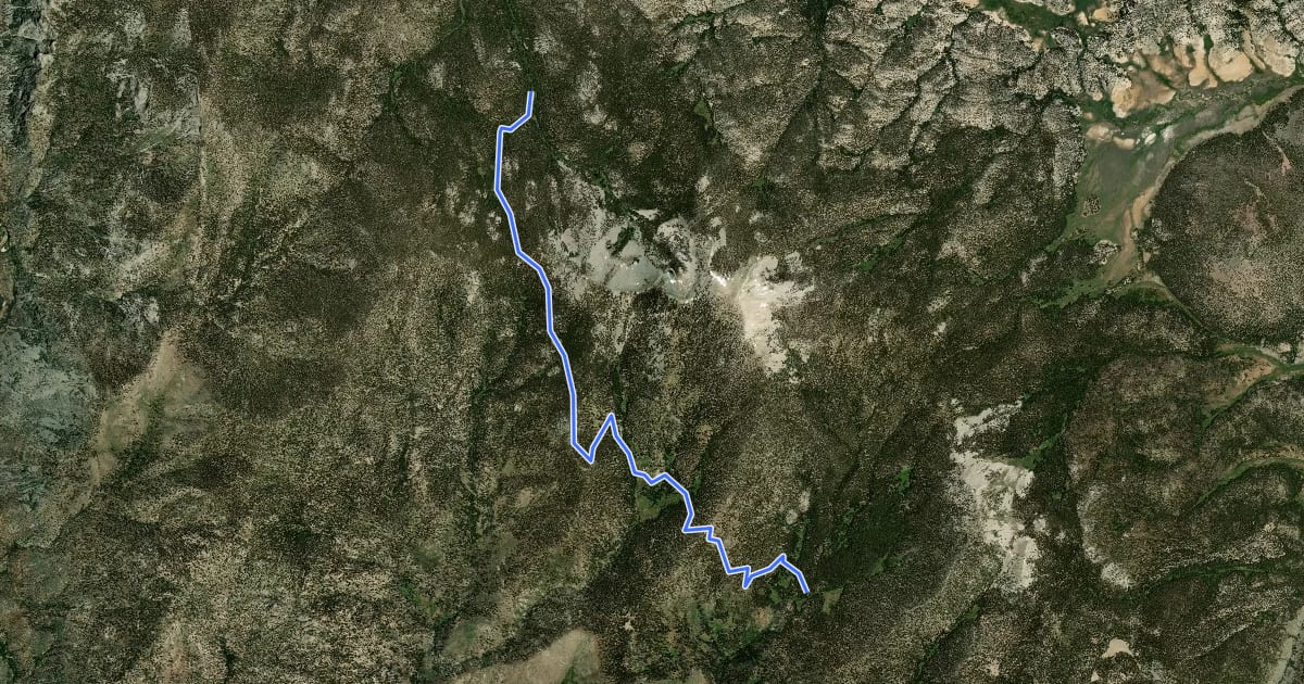 Маршрут Cold Meadows Trail на спутниковом снимке