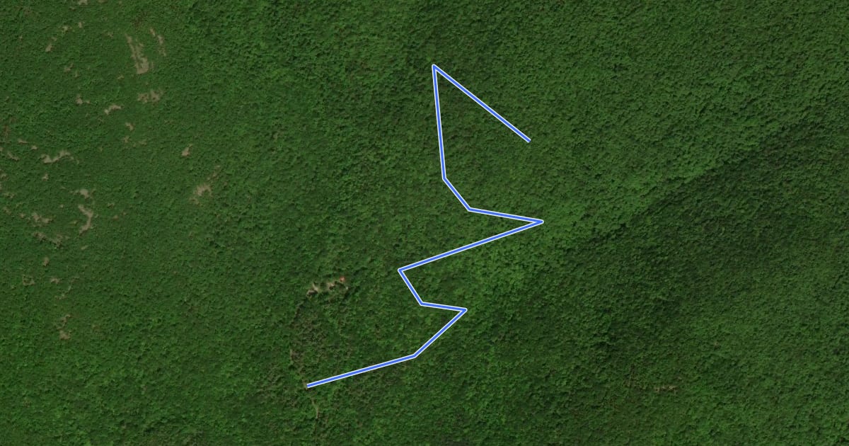 Маршрут Cold Spring Trail на спутниковом снимке