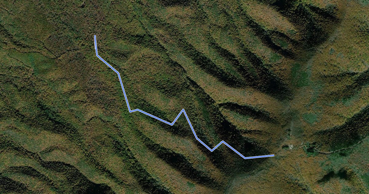 Маршрут Cold Springs Trail на спутниковом снимке