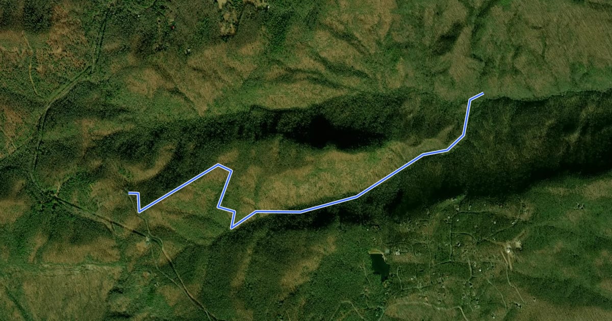 Маршрут Coldspring Branch Trail на спутниковом снимке