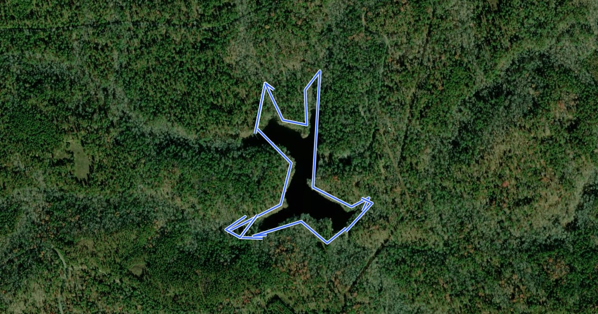 Маршрут Coleman Lake Loop на спутниковом снимке