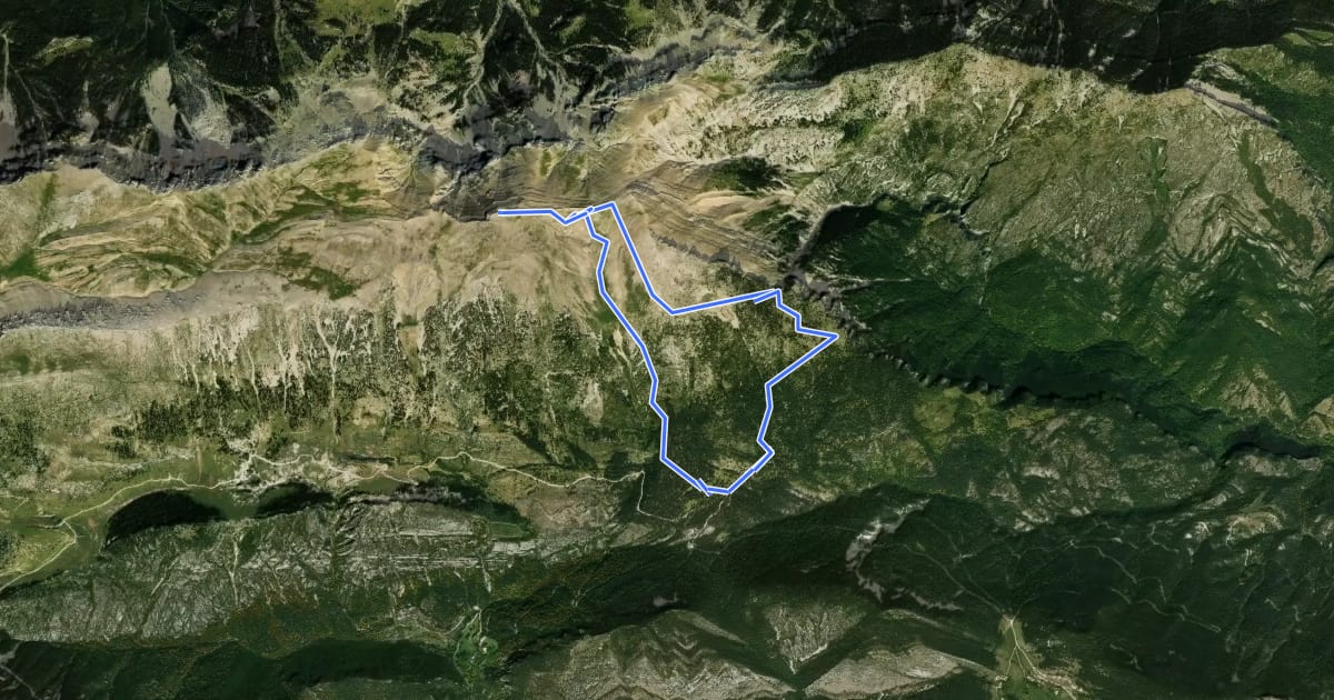 Маршрут Comabona des del Coll de Bauma per la Pleta de Guilla на спутниковом снимке