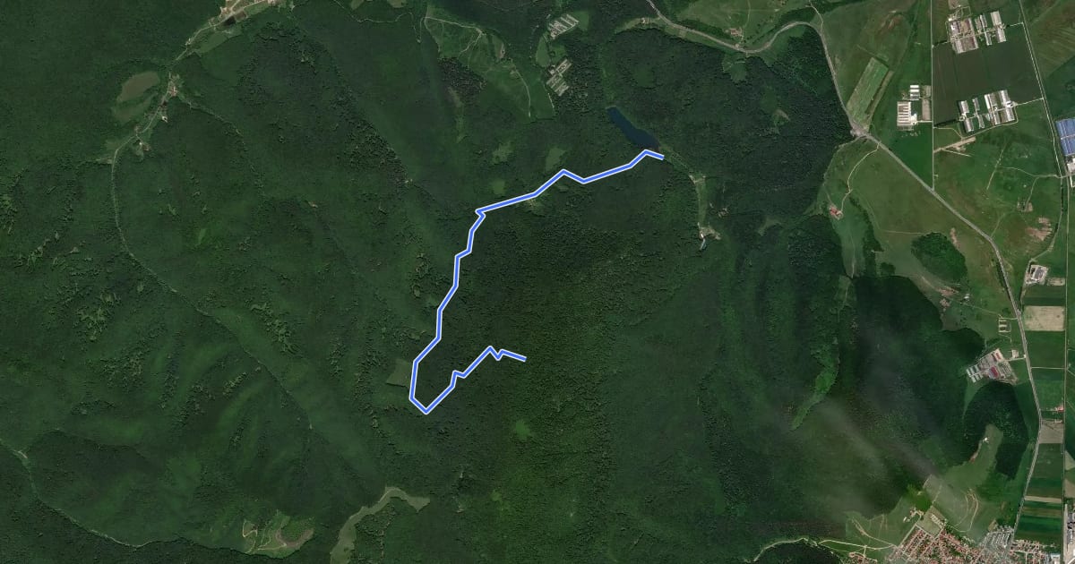 Маршрут Complex Turistic Codlea - Poiana lui Rușeț - Măgura Codlei на спутниковом снимке