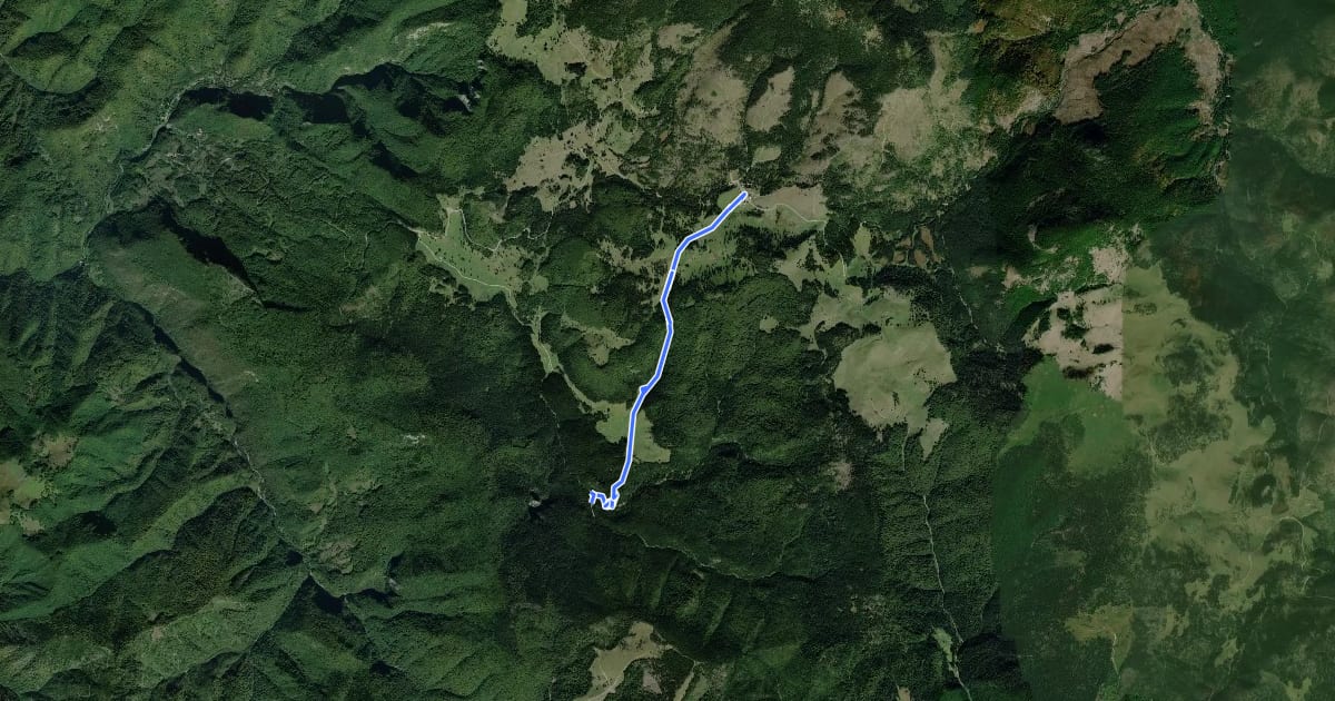 Маршрут Complex turistic Padiș - Cabana Cetățile Ponorului на спутниковом снимке