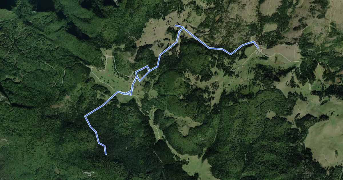 Маршрут Complex turistic Padiș - Ghețarul de la Barsa - intersecție cu traseul 5 PG на спутниковом снимке