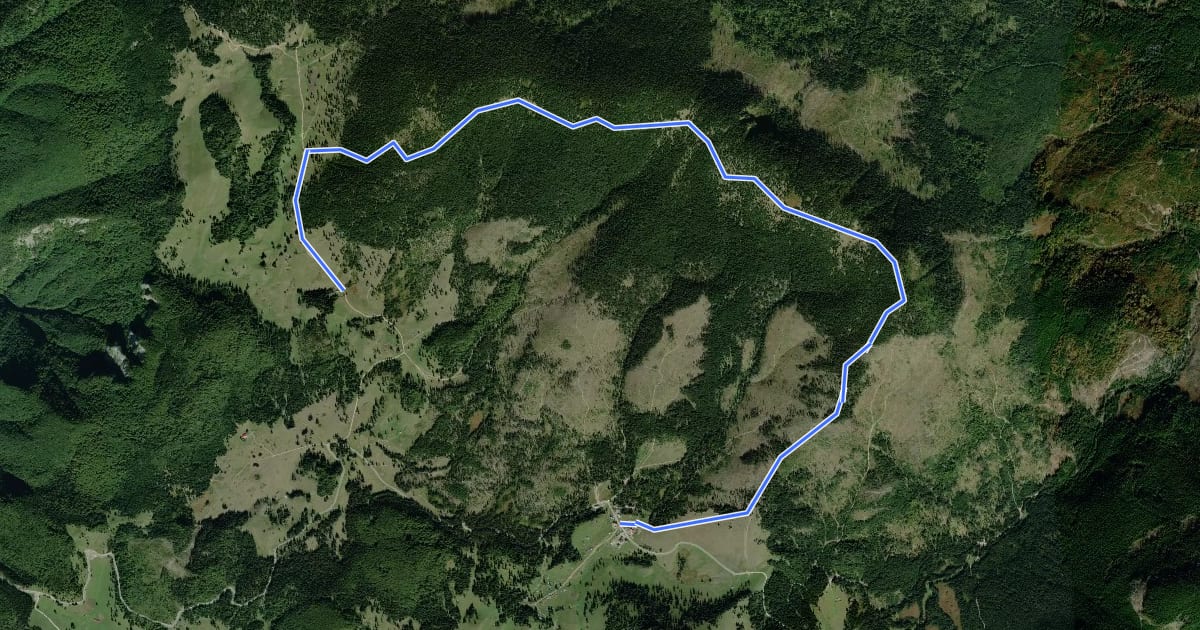 Маршрут Complex turistic Padiș - Măgura Vânătă - Șaua Vărășoaia на спутниковом снимке