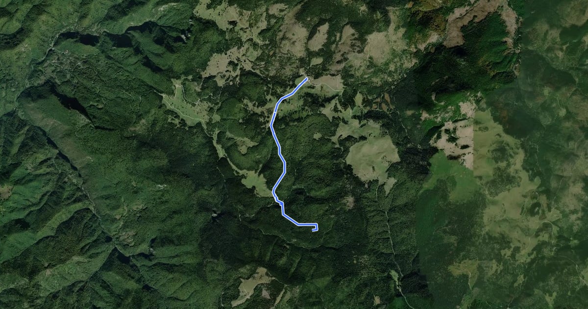 Маршрут Complex turistic Padiș - Platoul Carstic Lumea Pierdută на спутниковом снимке