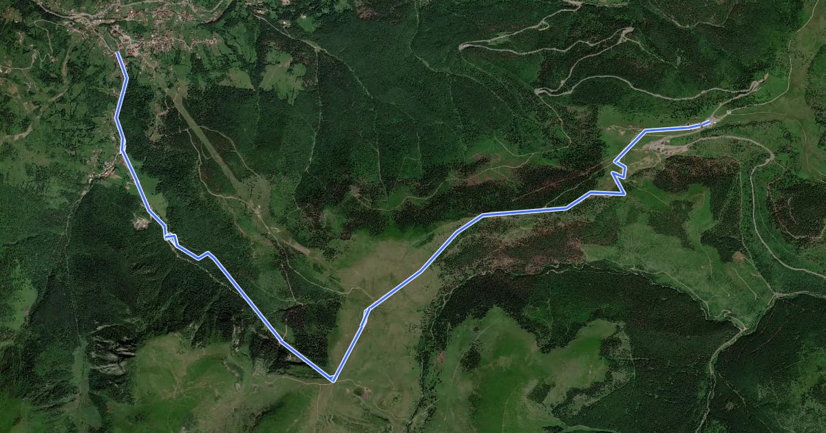 Маршрут Complexul Turistic Borșa – Cascada Cailor – Pasul Prislop (red triangle) на спутниковом снимке