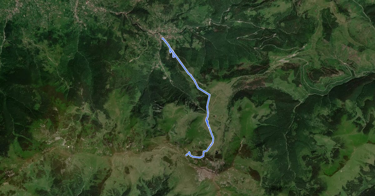 Маршрут Complexul Turistic Borșa – Poiana Știol – Șaua Gărgălău (blue stripe) на спутниковом снимке