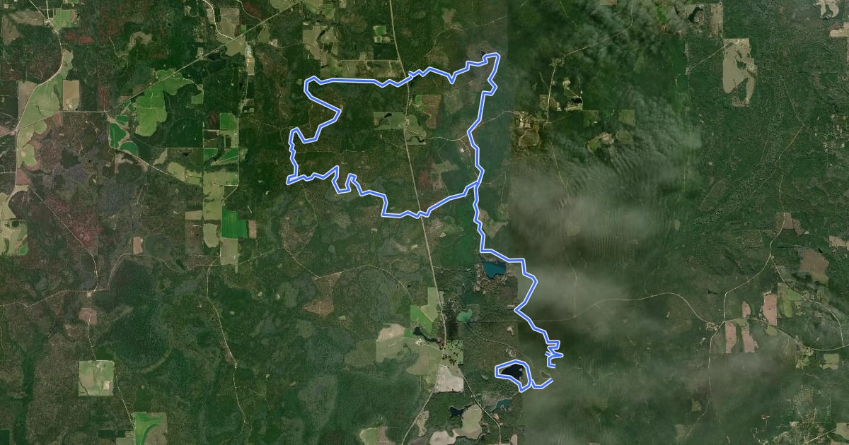 Маршрут Conecuh Trail на спутниковом снимке