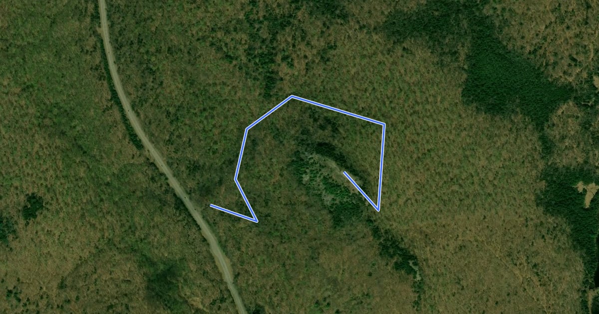 Маршрут Coney Mountain Trail на спутниковом снимке