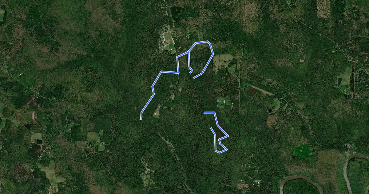 Маршрут Cook Forest Trails на спутниковом снимке