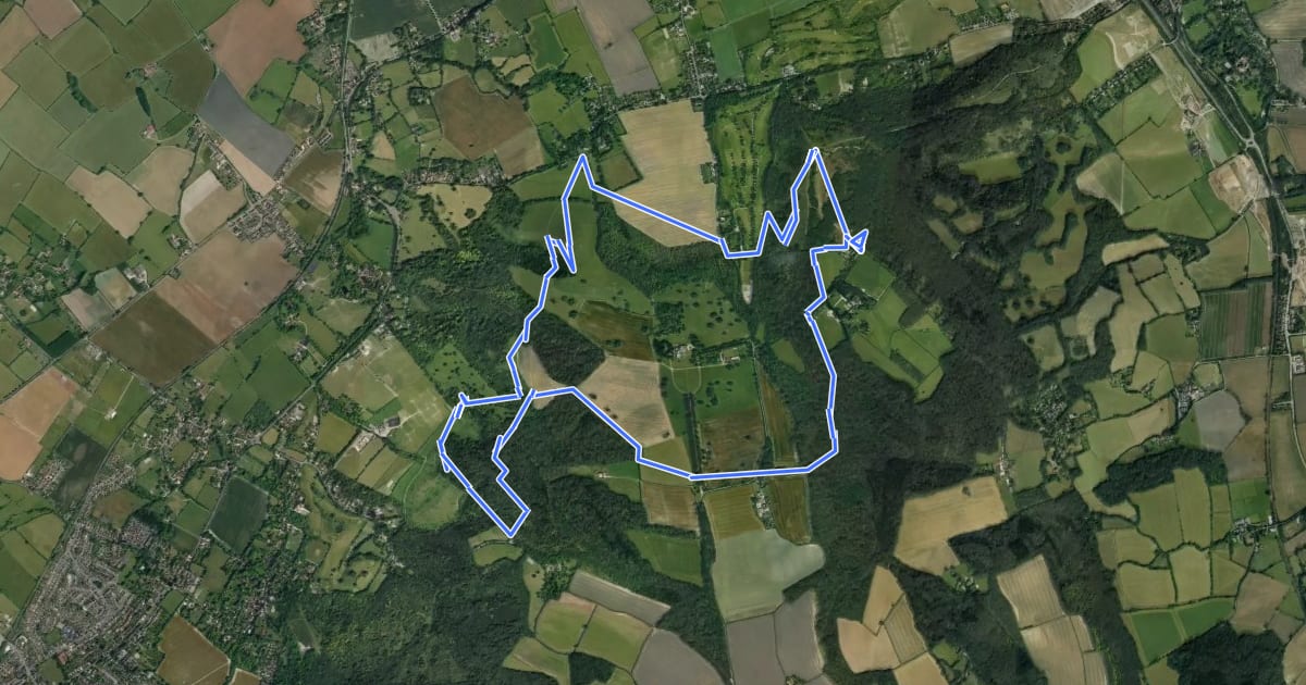 Маршрут Coombe Hill and Chequers Trail, Central Chilterns на спутниковом снимке
