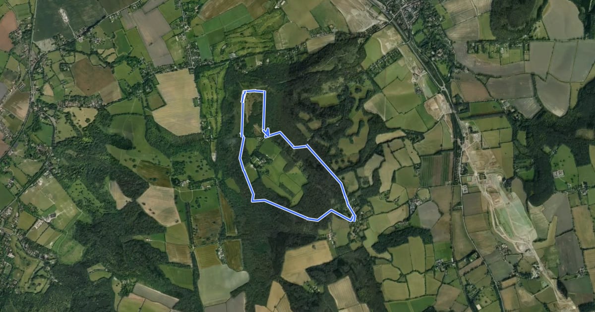 Маршрут Coombe Hill Woodland Walk, Central Chilterns на спутниковом снимке
