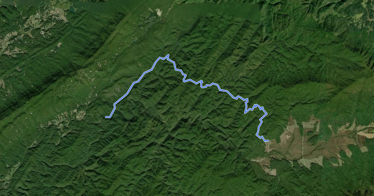 Маршрут Cooper Road Trail на спутниковом снимке
