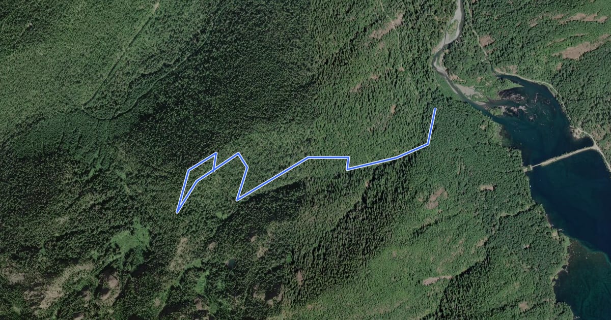 Маршрут Copper Creek Trail #876 на спутниковом снимке