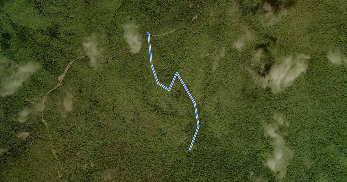 Маршрут Corbin Cabin Cutoff Trail на спутниковом снимке