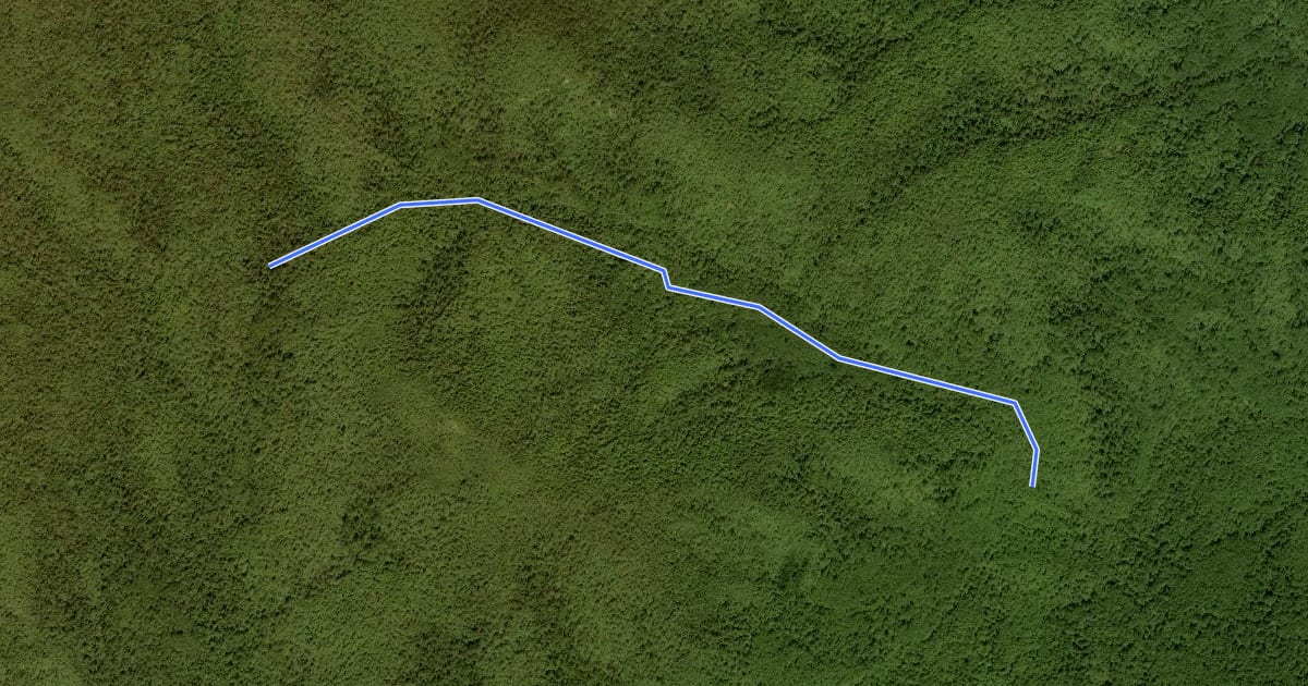 Маршрут Corbin Hollow Trail на спутниковом снимке
