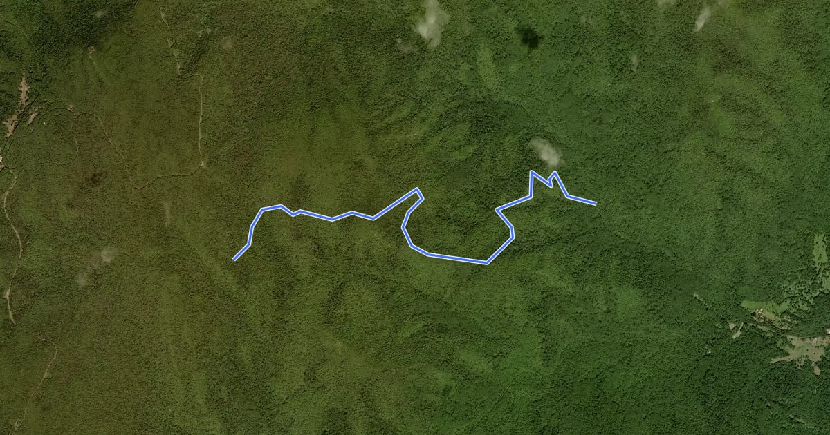 Маршрут Corbin Mountain Trail на спутниковом снимке