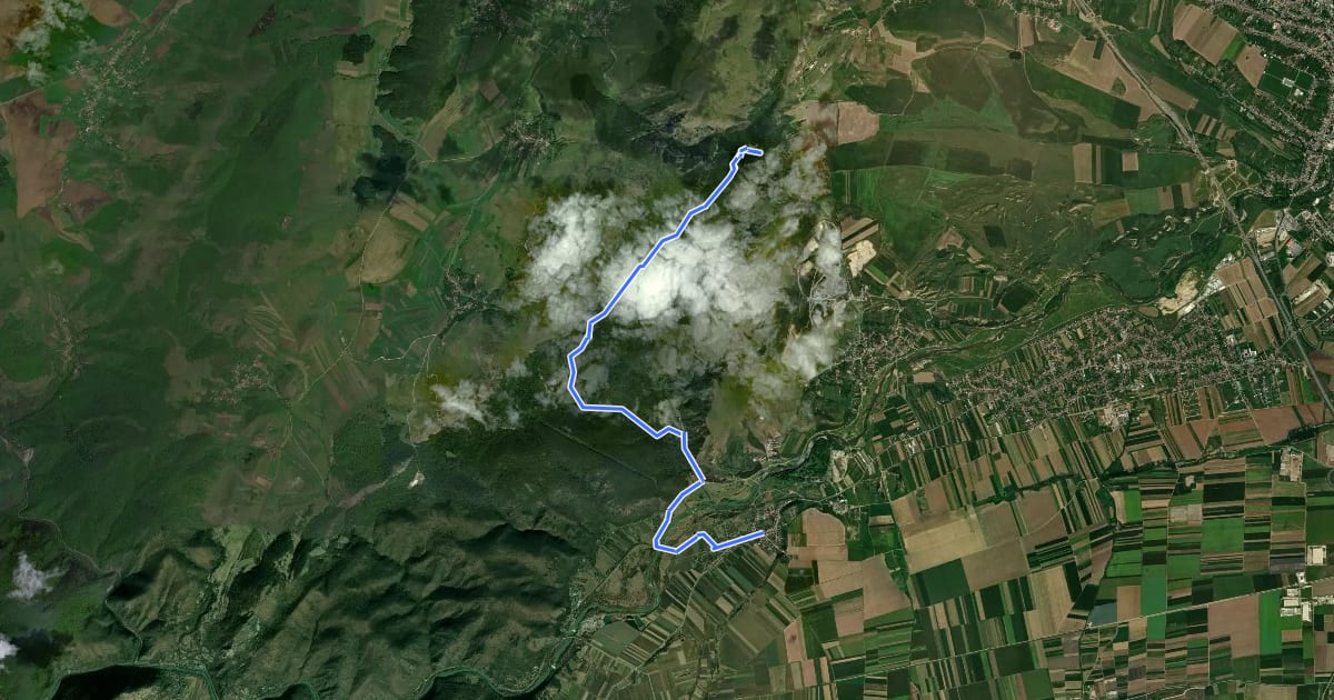 Маршрут Cornești - Valea Arinei - Cabana Cheile Turzii на спутниковом снимке