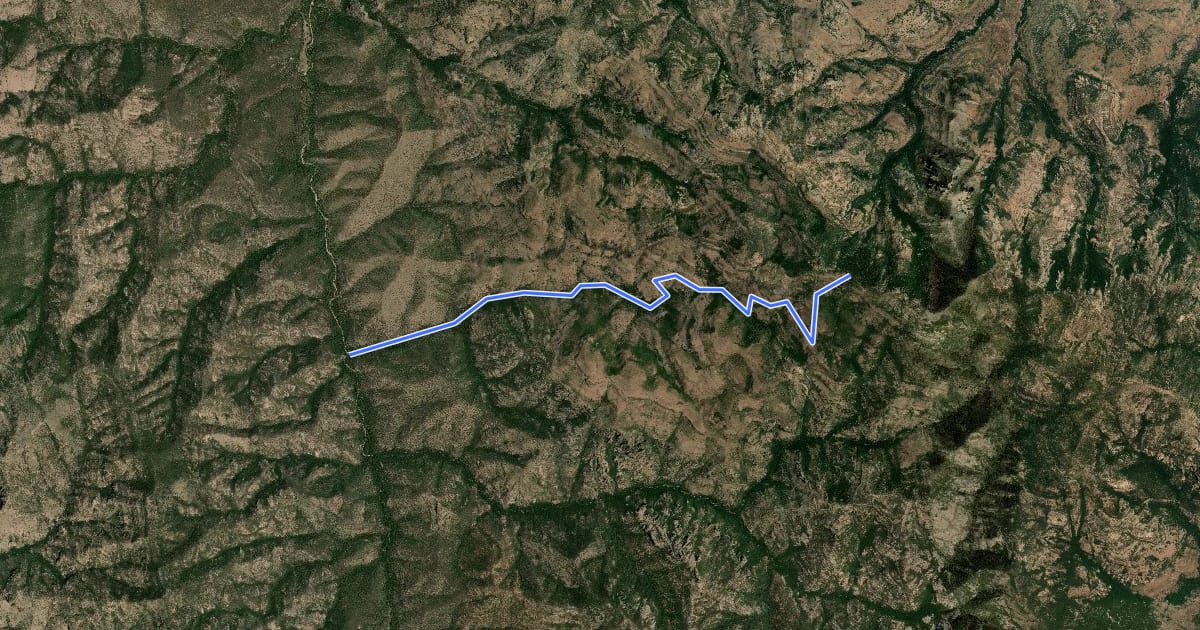 Маршрут Corral Canyon Trail #291 на спутниковом снимке