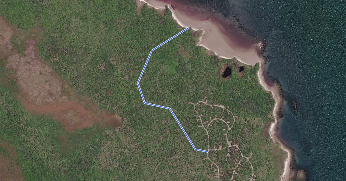 Маршрут Costal Hardwood Ridge Trail на спутниковом снимке