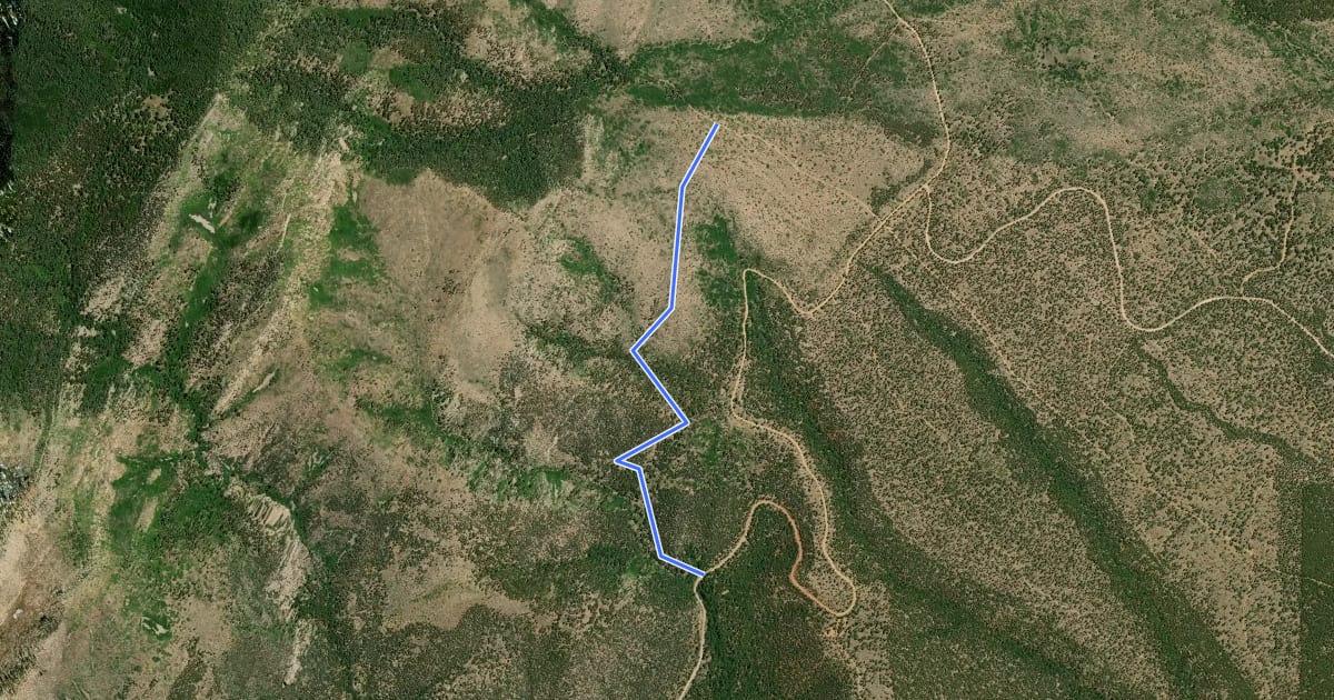Маршрут Cottonwood Trail на спутниковом снимке