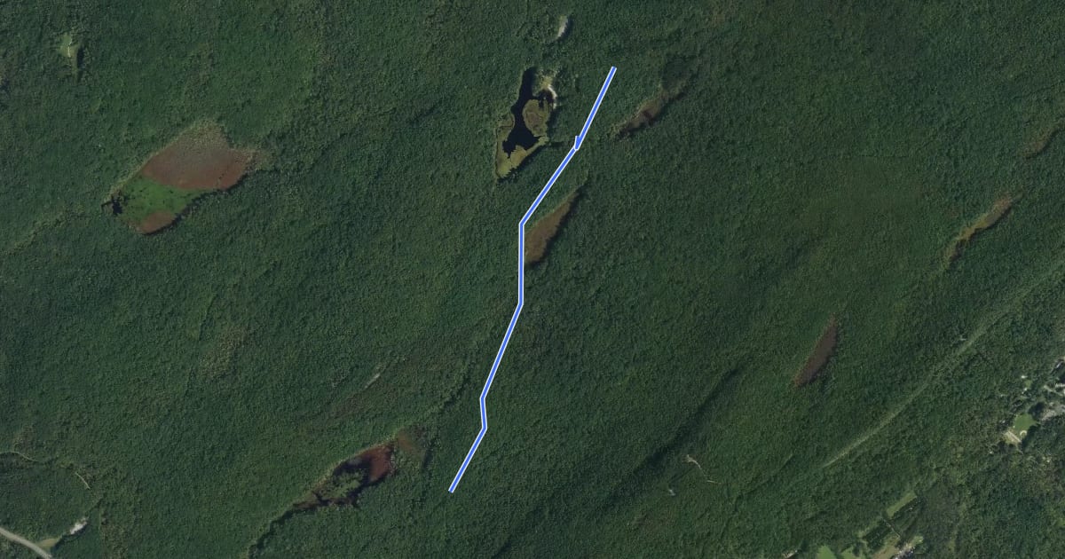 Маршрут Coursen Trail на спутниковом снимке