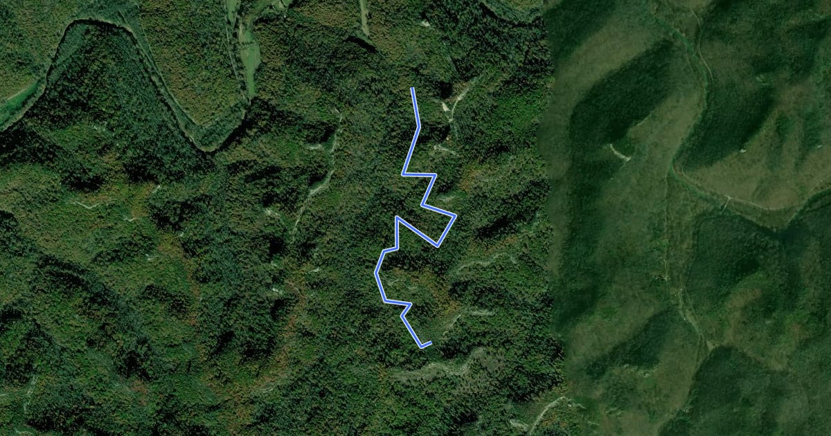 Маршрут Courthouse Rock Trail #202 на спутниковом снимке