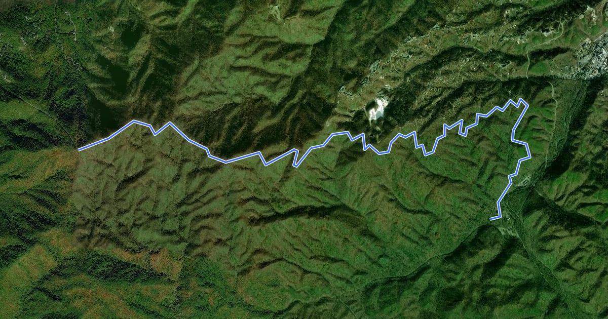 Маршрут Cove Mountain Trail на спутниковом снимке