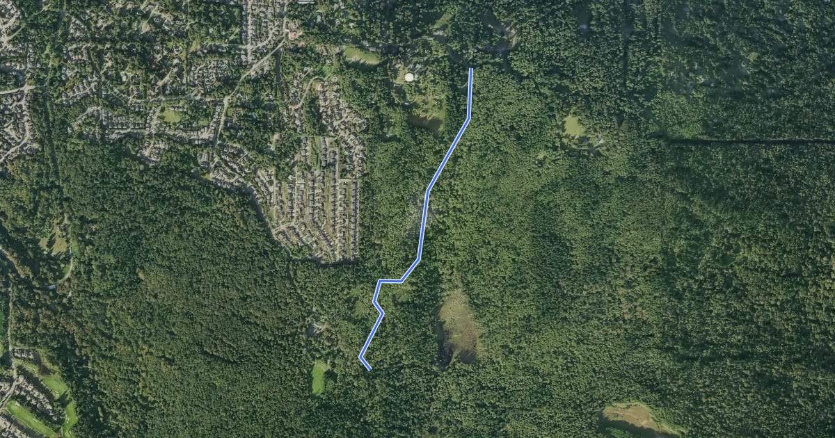 Маршрут Coyote Creek Trail на спутниковом снимке