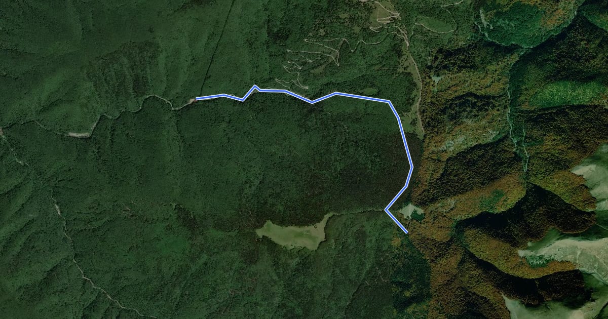 Маршрут Cracu Pip (La Văcarie) – Sub Șeroni – La Lemn (spre Cuntu) на спутниковом снимке