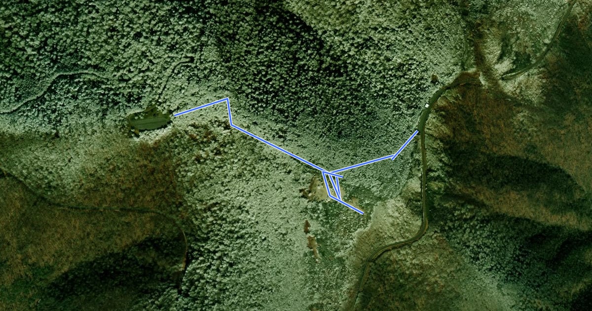 Маршрут Craggy Gardens Trail на спутниковом снимке