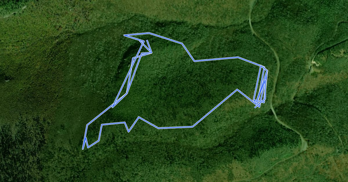 Маршрут Cragway Loop на спутниковом снимке