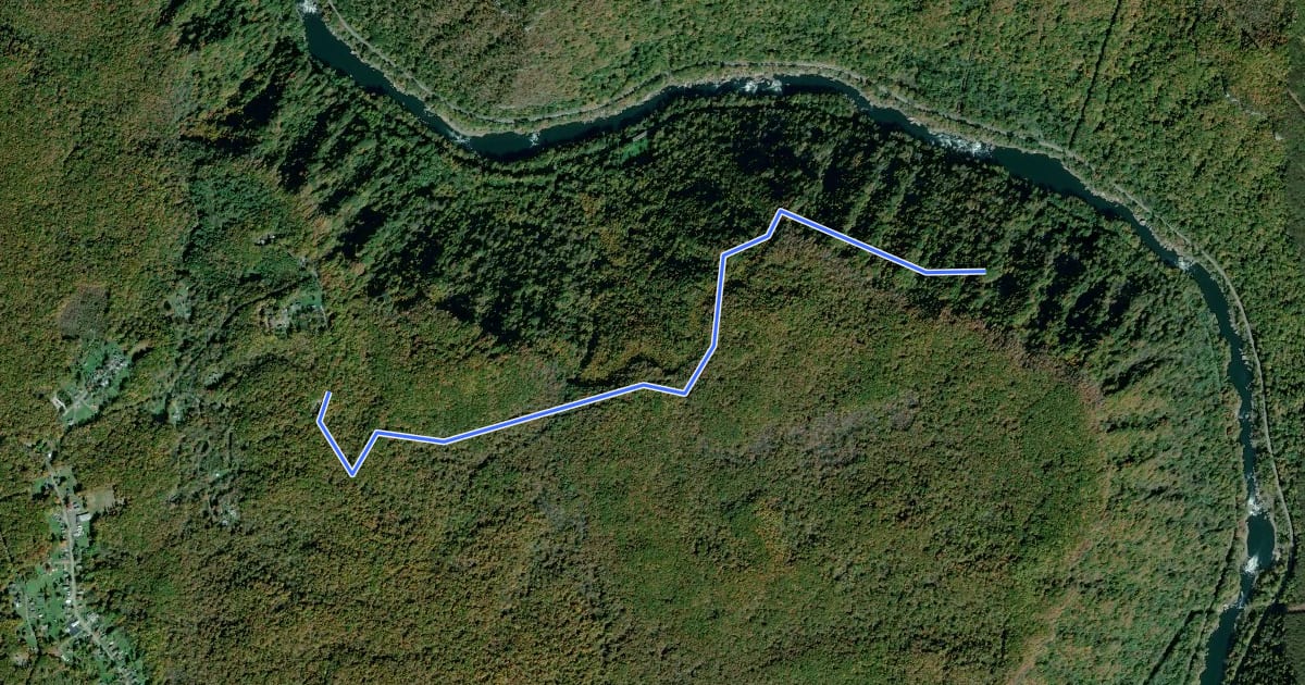 Маршрут Craig Branch Trail на спутниковом снимке