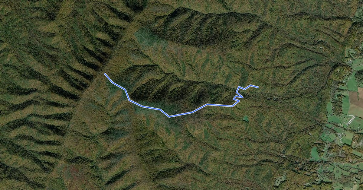 Маршрут Crawford Knob Trail на спутниковом снимке