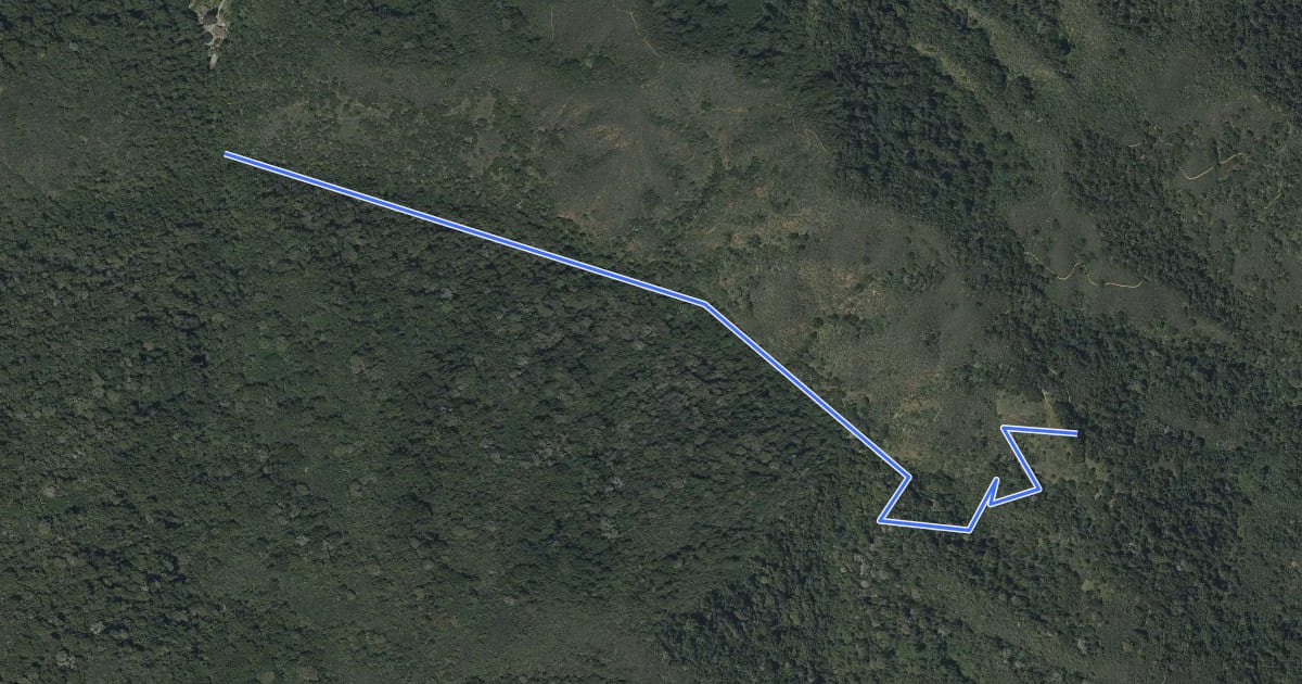 Маршрут Creek Trail на спутниковом снимке